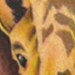 tattoo galleries/ - Giraffe